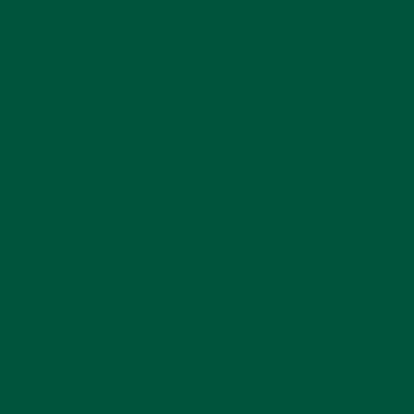 darker-green-00543C